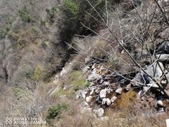 -秦岭风景区