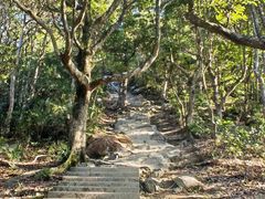 -梧桐山风景名胜区