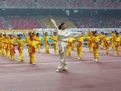 学员表演-武术世家-武术世家少儿培训中心(首都体育学院店)