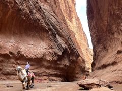 -天山神秘大峡谷