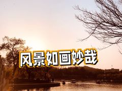 -南山公园