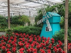 -南宫五洲植物乐园