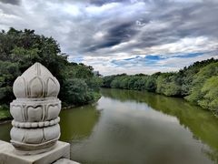 -海珠湖公园