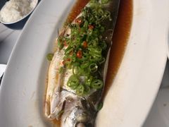 -绿茶餐厅(龙井船宴· 品牌总店)
