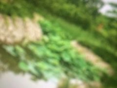 -长辛店二七公园