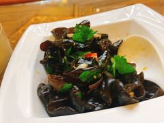 凉拌木耳-龙禧渔村酒楼