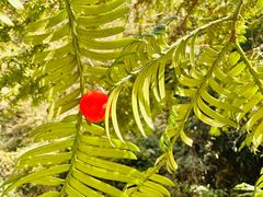 -东天目山风景区
