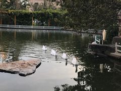-山东大厦