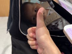 -鲜芋仙(番禺万达广场店)