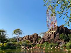 -芽庄珍珠岛游乐园