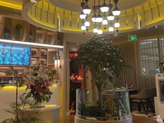 -润园四季椰子鸡火锅(卓越INTOWN店)