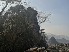 -大连天门山国家森林公园