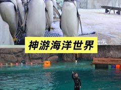 -威海华夏城景区