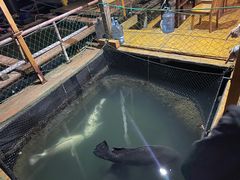 -蓝湾碧波·老字号·疍家非遗海上餐厅