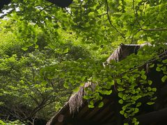 -黄公望隐居地