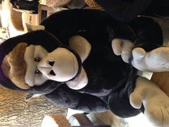 Zoo&nbsp;Coffee(南山店)-Who乎coffee&bar