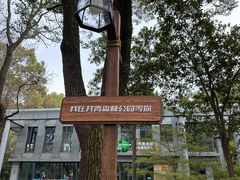 -上海共青森林公园