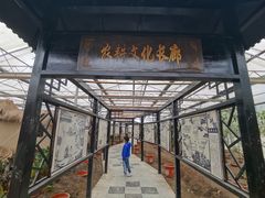 -上海都市菜园