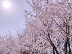 -南京明基医院