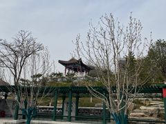 -西海子公园