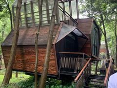 -杭州开元森泊度假乐园