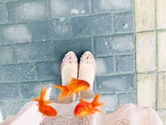-陆家浜路(地铁站)