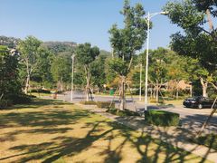 -厦门国家会计学院