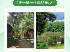-凤凰山国家森林公园