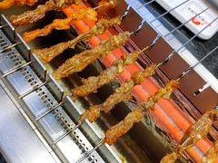 -邢氏老太太烤串(北兴街店)