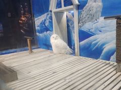 -成都浩海立方海洋公园