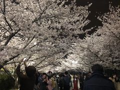 -同济大学四平路校区游泳馆