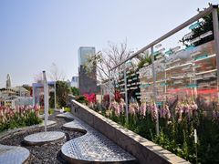 -海心沙亚运公园