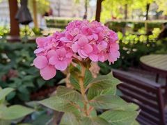 -北京石刻艺术博物馆(五塔寺)