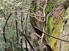 -浮山风景名胜区