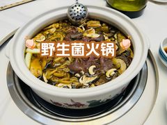 -滇野云南野生菌餐厅(陕西南路店)