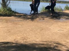 -北京市海淀区翠微小学