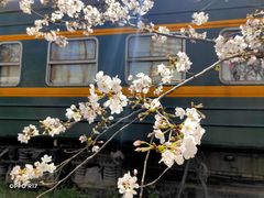 -新天地活力PARK