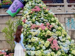 -苏州上方山国家森林公园