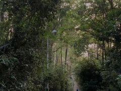 -水濂山森林公园