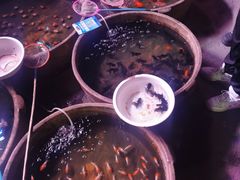 -中环花鸟鱼虫市场
