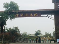 -泗洪洪泽湖湿地景区