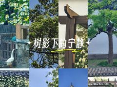 -苏州文庙(姑苏区)