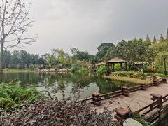 -成飞公园