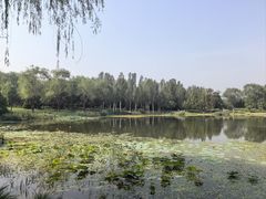 -北坞公园