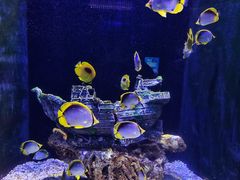 -成都浩海立方海洋公园