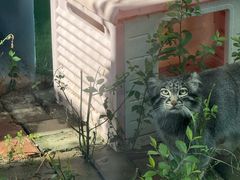 -青藏高原野生动物园