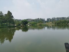 -南沙蒲洲花园