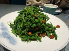 长生果拌丝瓜尖-老济南·地道济南菜(大明湖店)