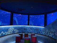 -沈阳海洋探索中心