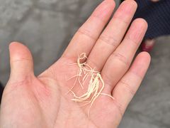 -成都川菜博物馆
